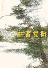 由著复微by乱世音我是猫