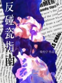 反碰瓷指南by剧透
