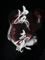 皮囊的作者