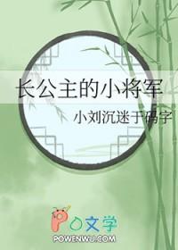 长公主与将军驸马的古言