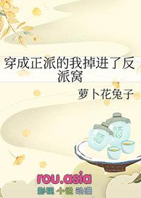 穿成反派的我晋江