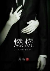 燃烧 (高干 高H) 作者苏南