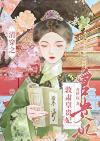 清穿之哲皇贵妃最新