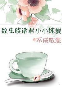 不成敬意txt