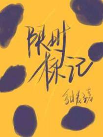 限时进入的标志是什么