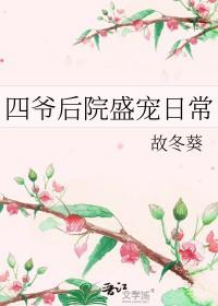 四爷的宠后清穿免费阅读