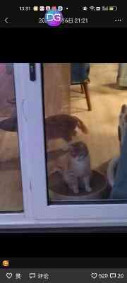 好友借住一周后硬塞300元