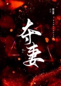 夺妻 无防盗