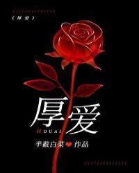 厚爱半截白菜讲的什么