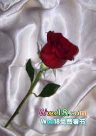 和联姻对象做pao