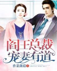 冷面总裁的宠妻之旅
