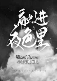 融入夜色中