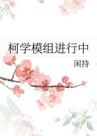 柯南模具