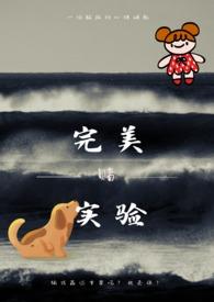 海龟蘑菇汤完美实验