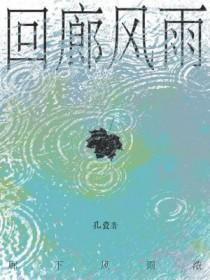 回廊风雨人未归第11章