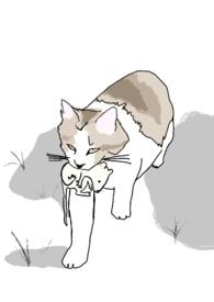 十八线就等你退婚了