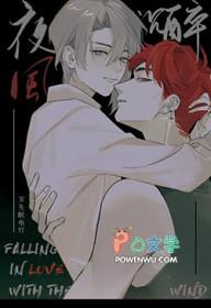 夜风主角