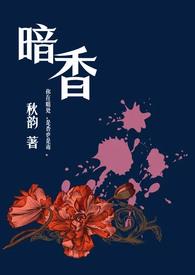 暗香(舅甥)秋韵全文阅读