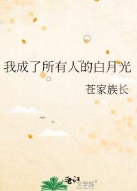 我成了所有大佬的白月光重生