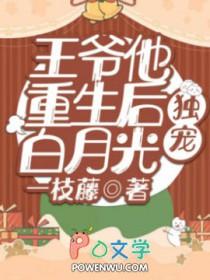 王爷重生独宠前世男王妃