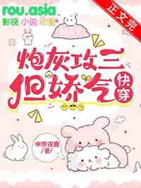 炮灰攻是什么意思