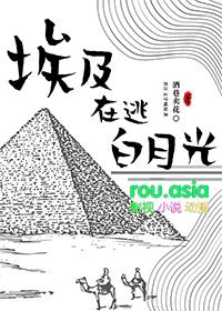 在埃及旅游