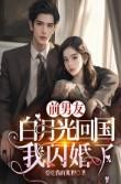 白月光前男友回来了txt