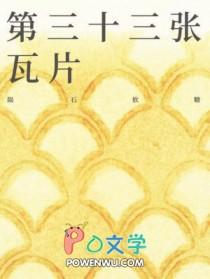 第三十三张瓦片评价