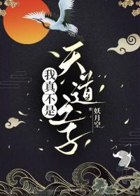 我真不是天道之子番外