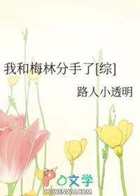 我和梅林分手了综