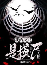 我的技能是假的