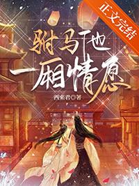 驸马16gl