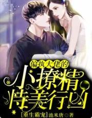 重生偏执大佬宠妻