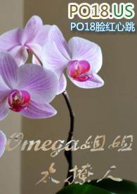 omega姐姐太撩人(百合ABO)by深山的小竹