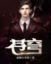 苍穹之昴 电视剧