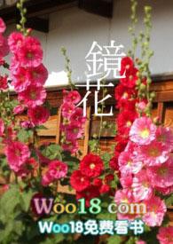 po18 镜花