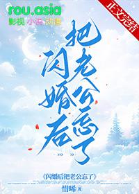 闪婚后把老公忘了心淡岁清浅