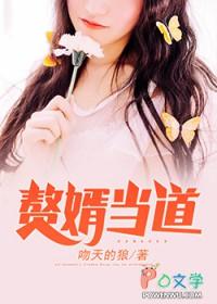 赘婿当道txt百度