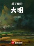 箱子里的大明无防盗