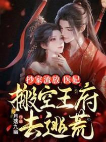 抄家流放医妃搬空王府去逃荒txt月落九幽