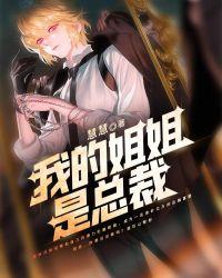 我的姐姐是总裁二次元