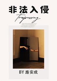 非法入侵意思