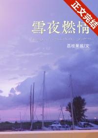 雪夜dj