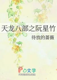 天龙八部阮星竹任务