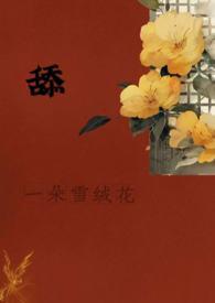 厨师雕刻入门视频教程全集