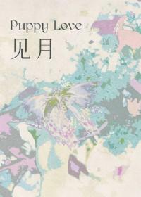 见月by一块小月饼讲的什么