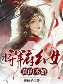 将军府终于生了个女儿秦家