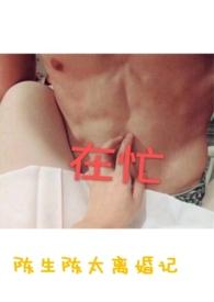 陈生陈太离婚记po