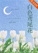 白色鸢尾花束