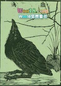 空壳公司的特征